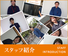 スタッフ情報